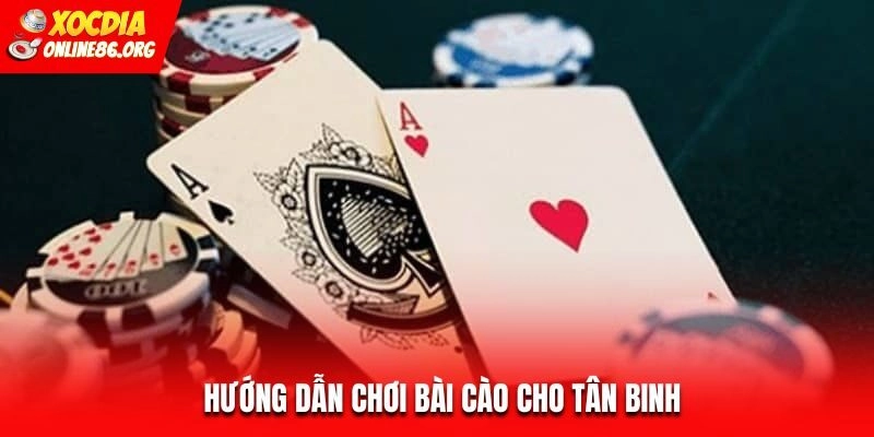 bai cao huong dan Hướng dẫn chơi bài cào cho tân binh