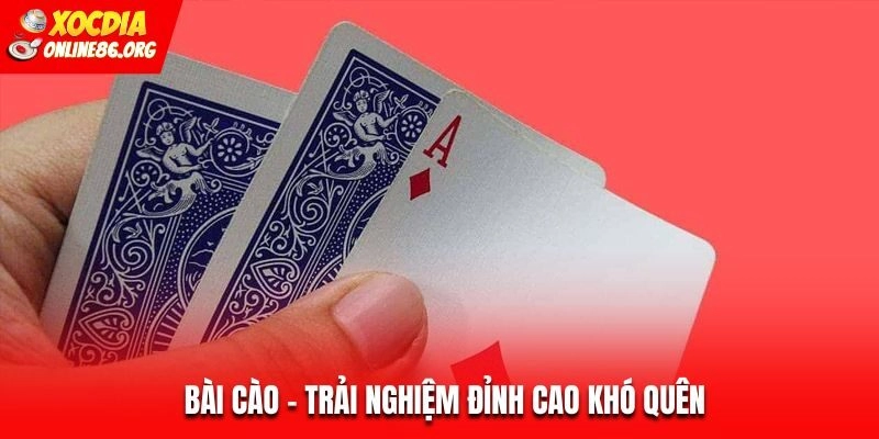 bai cao Bài cào