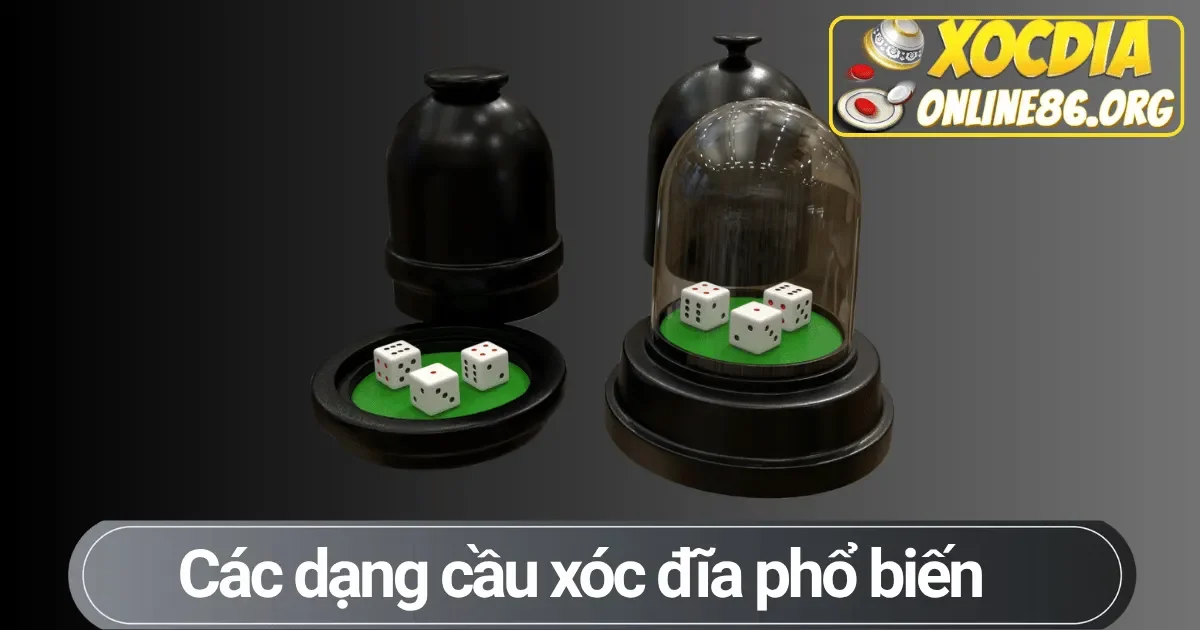 cac dang cau xoc dia pho bien Các dạng cầu xóc đĩa phổ biến